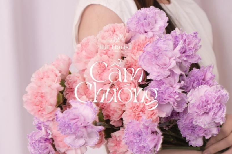 Tim hieu y nghia cua hoa cam chuong carnation theo tung mau sac khac nhau